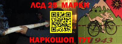МДПВ Донецк