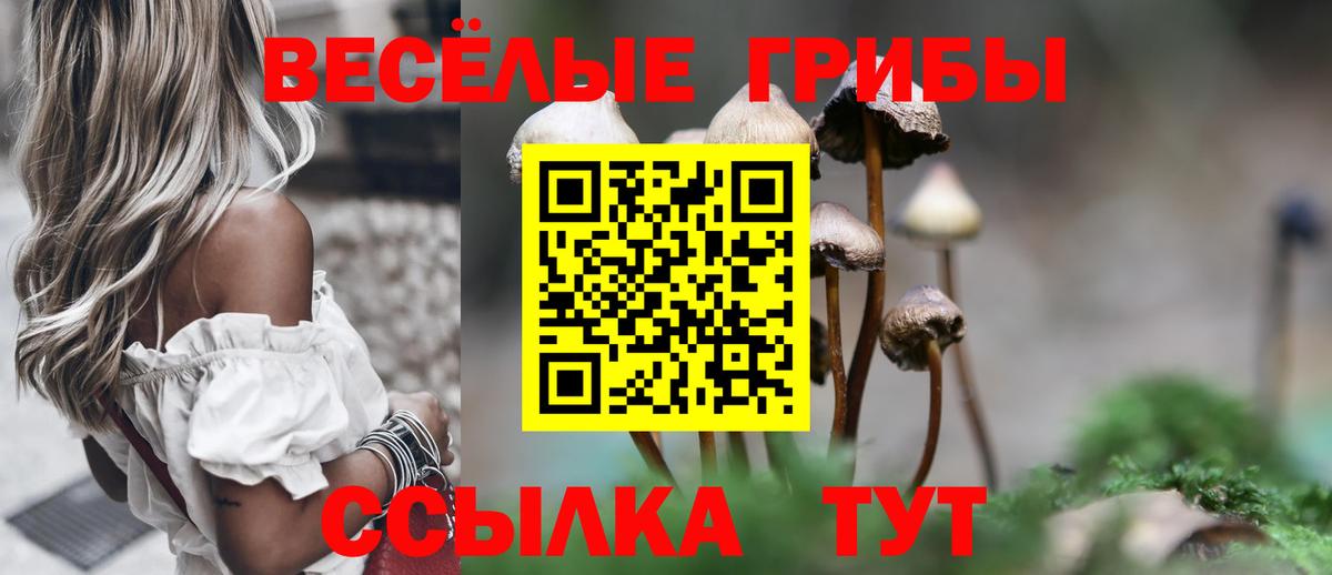 Галлюциногенные грибы Psilocybine cubensis Кстово